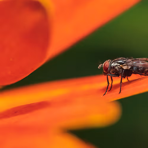 105090597216655980557633683149084672751347825439893935605656298003427678486529