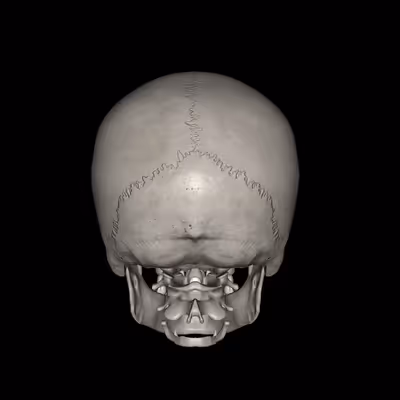 Untitled Collection #503321467