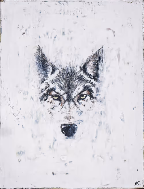 Item #34397965671340651661255146793612940990550851908916745210388289051114407460865 Media