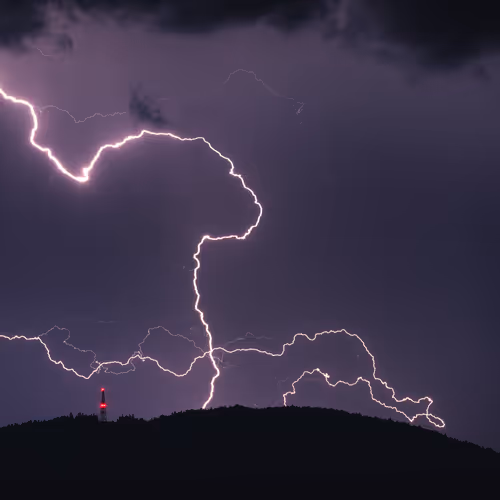 Untitled Collection #482151716