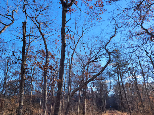 Item #34085441569699423005310991372941828806155687762378495952169943210969964478465 Media