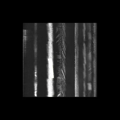 Item #43939955971694368961434358164711021081057237677410347264159755745930382409729 Media