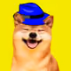 35132558306005666945989237054941300939245987658462459495312623044868125491201