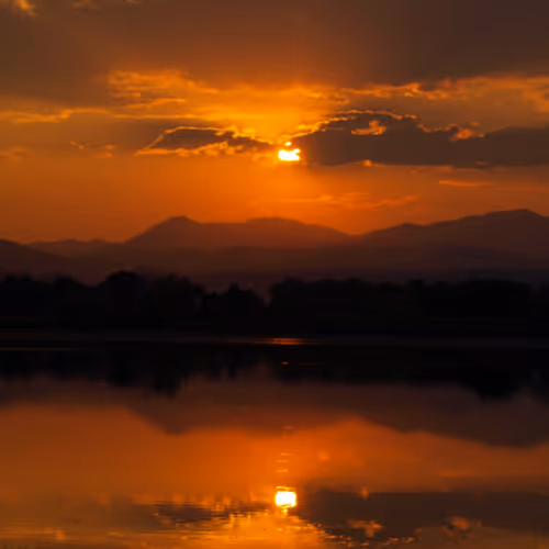 The Golden Hours