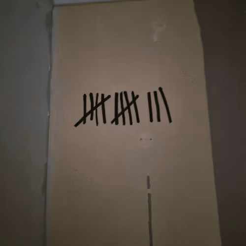 Untitled Collection #170256357