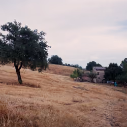 Route_In_006_07/09