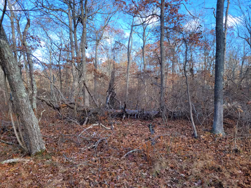 Item #34085441569699423005310991372941828806155687762378495952169943232960197033985 Media