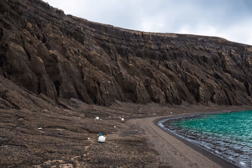 Item #27747756409084056157885059957220218657806403906811327851959916542021337088001 Media