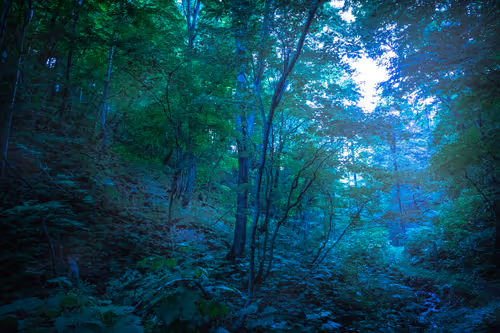 Item #63879952356836408033478395497032106241278850037916346338170095198370726412289 Media