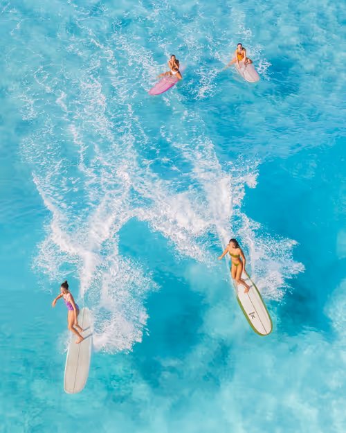 Item #103758156520814104392027156442994097569408803313385638950113926704497229299752 Media