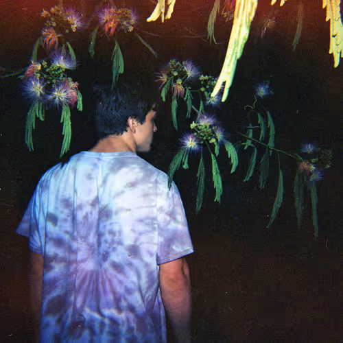 Shot on Holga #5: Floral