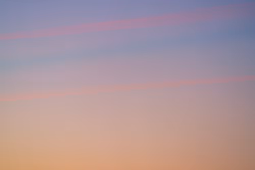 Item #84187360322526479768062246758443638807721231032672488353420312923962009976833 Media