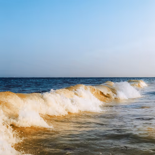 Tales From The Ocean