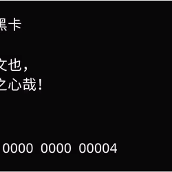 60090848787512546124871928783752893951611526532020502503968480505418183868417