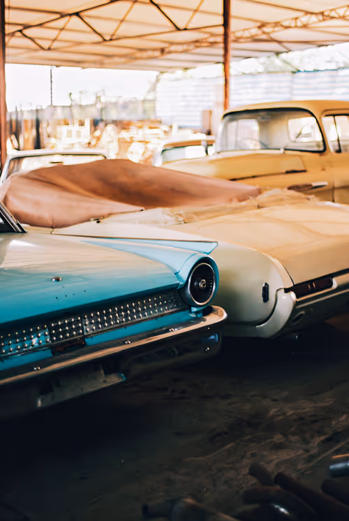 Item #38774412430970682712049105780887586769761700819568029193752261931392519110657 Media