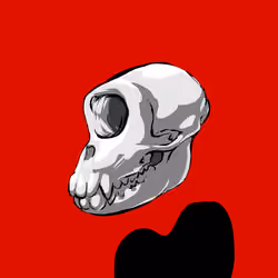 PK.Skull #005