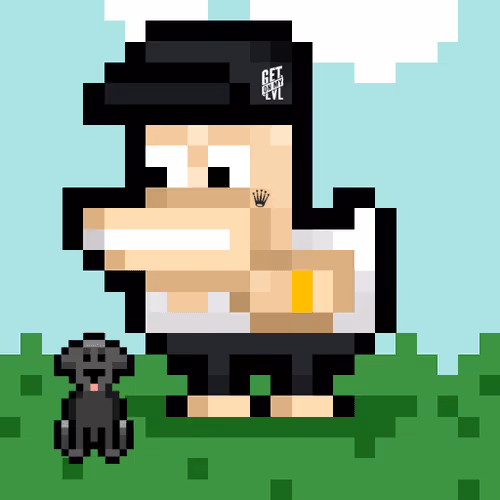 Crypto Duckz Combat Alliance