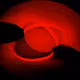 83027575169381597063080205071843663855248546252473493145966936942170219741185