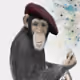 89718035190326583293639580117863257820853594286116940384099674676125390340098