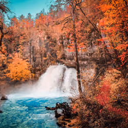 Autumn Flow