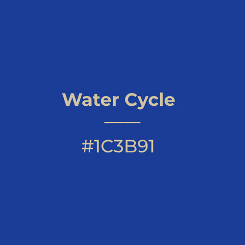 Water Cycle #1c3b91
