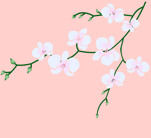 Item #18901054677807713052101787435687047510671010479613369184981310843315376095233 Media