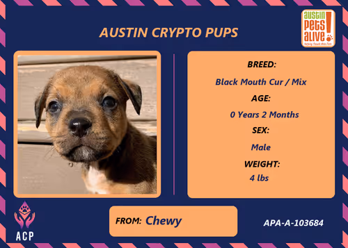 Item #17951378556605612276483806045649535824451571419947225201384628515050035871745 Media