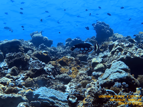 Item #80965803268169370603932631570667161375508893671094224909166964284342598107137 Media