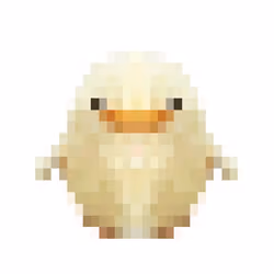 Baby Ducks 09