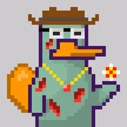Platy Punk #891