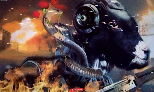 Item #100904379178214568277262680850716896340857049395936338823460596544117927837697 Media