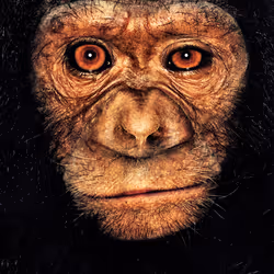 109162157552346088047496633038404394118504199992061596446112929719479384932353