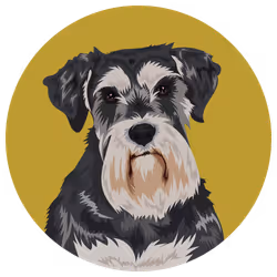 54766349128176429303044182404049584425310907481653304317570413790194844041217