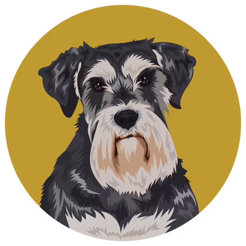 Item #54766349128176429303044182404049584425310907481653304317570413790194844041217 Media