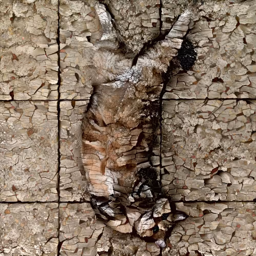 Item #84889371555348711549292944626778091339480944889018475842771169835060048166913 Media