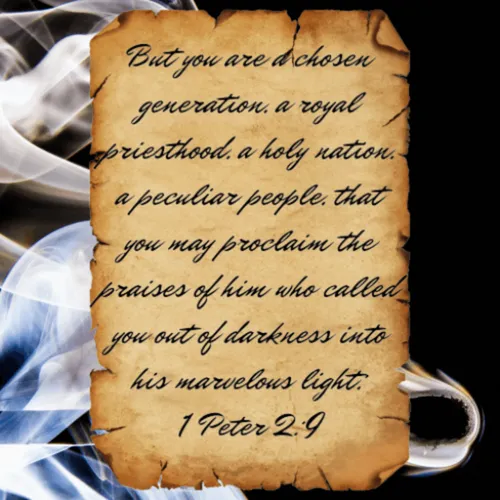 Item #38709541401652465001399013235077350118197148033488468632614324439287307698196 Media