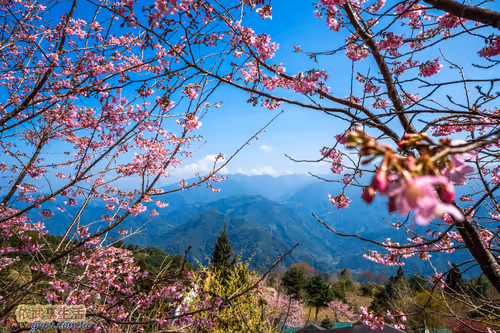 Item #100744422725674417057824683306763013505668843176654858816283483950524210872321 Media