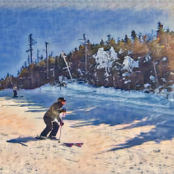 Bluebird Day