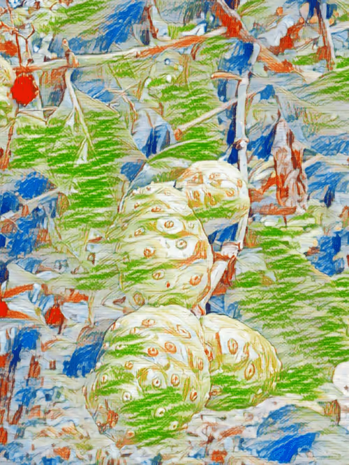 Item #69261177602478584146078213691104273677815526894191982293268528017871070035969 Media