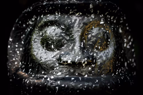 Item #58223771341478676291689940551822741935118618290358799679384135636291283845121 Media