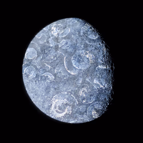 82291620555978562542312322718574203247694604495549589156920071496877771587585