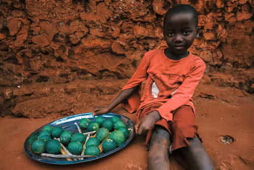 Item #81057615018985245267668409952199543064735075507553677475786031422381496467457 Media