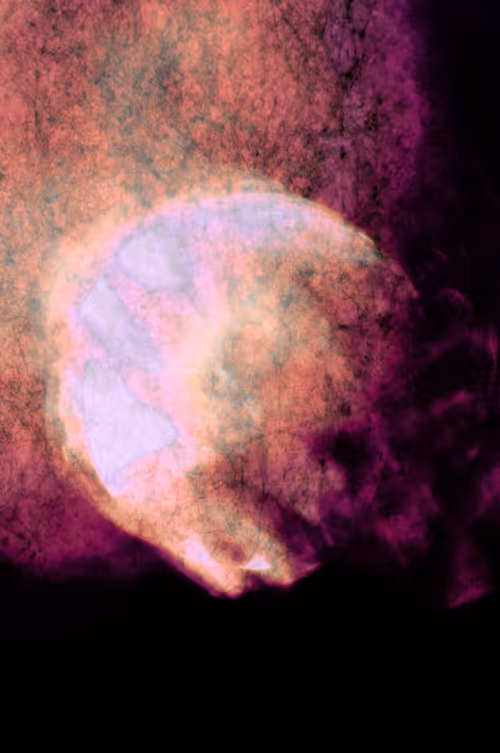 Item #62539403669685025686501917752583398735289456907083576647732505217335883202561 Media