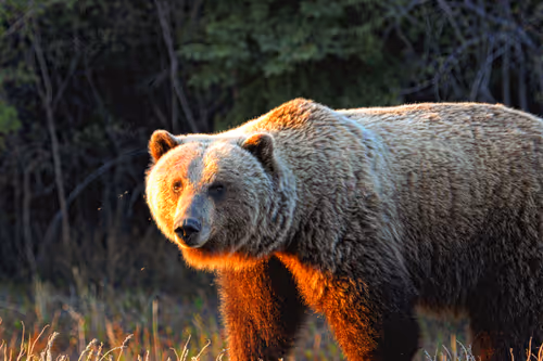 Item #111183036815138936554690946831493695930652639296530175688352459480524054855685 Media