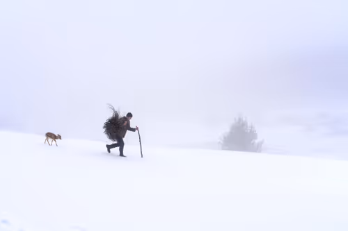 Item #108025279282686658453897007890629891637526310304717906993258638149072038395958 Media