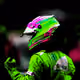 26220004524091808450196709163554848725148509256352902368078114224881587453953