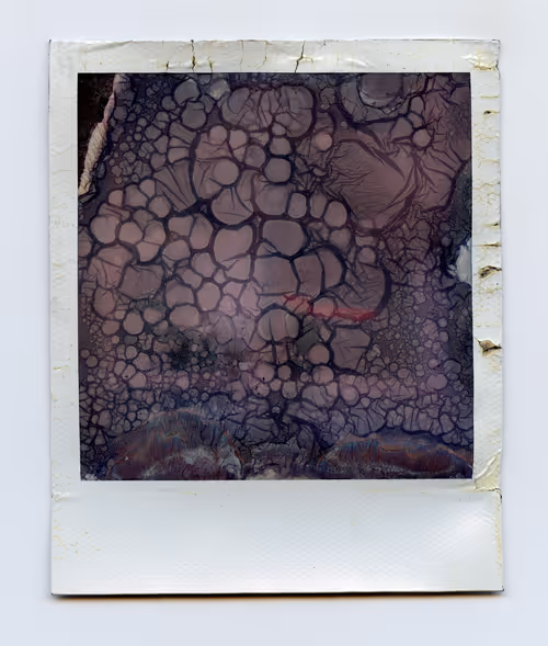 Item #111011725726495855372299514845268257360181815302247514251443823717541847498755 Media