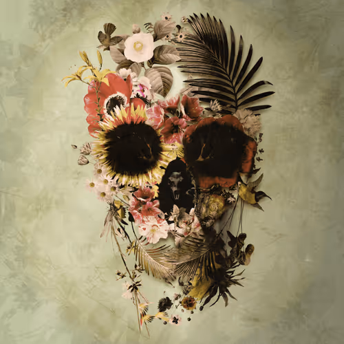 Message Skulls