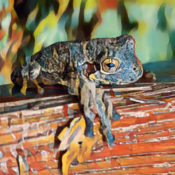 chillin versicolor 