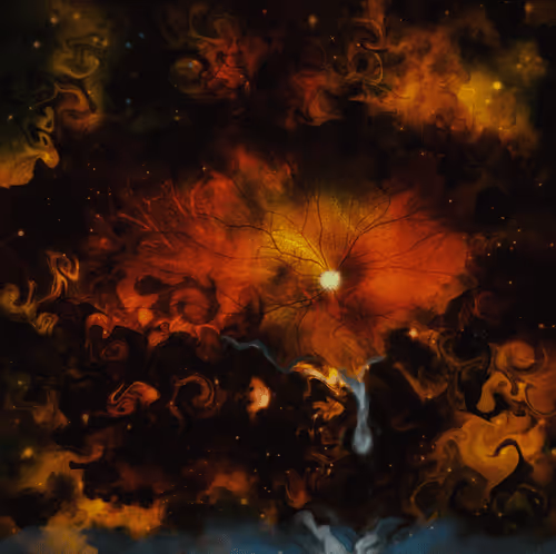 Embracing Vulnerability